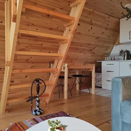 公寓式酒店 Dalaman Bungalov Villa *